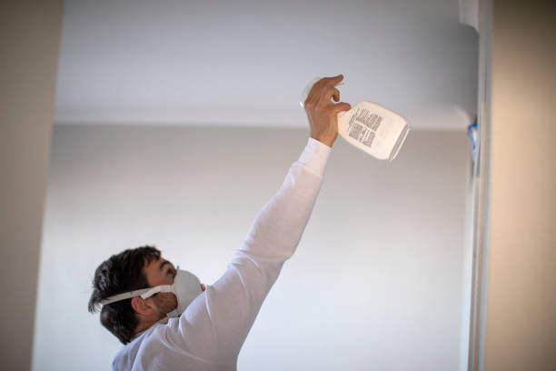 Best Residential Mold Removal  in Shawneeland, VA