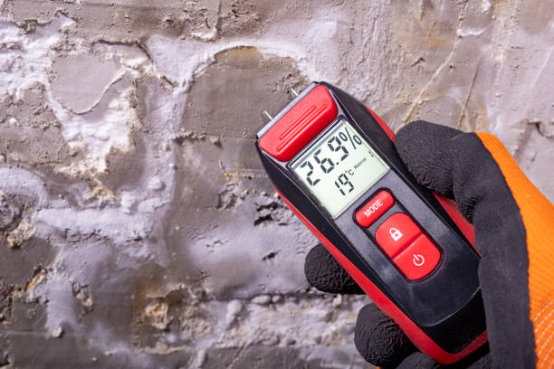Best Mold Remediation Experts  in Shawneeland, VA