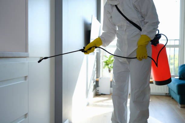 Best Emergency Mold Removal  in Shawneeland, VA